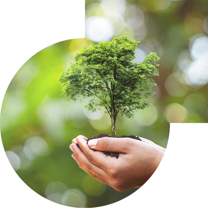 关怀人类、文化、环境与社会